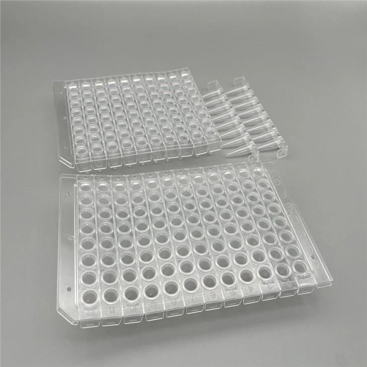 PCR Plate wholesale
