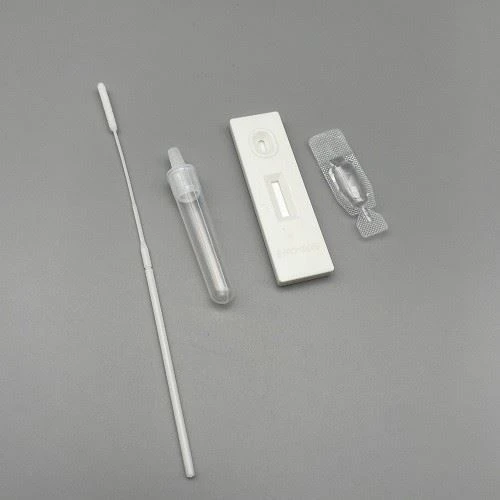 buy Antigen Rapid Test buy Antigen Rapid Test